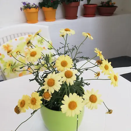 Apartamento Vanilla Šibenik